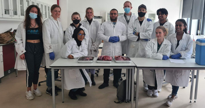 3i_BioHL_DissectionLesson