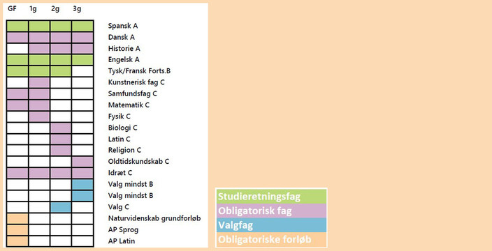 Studieretning_1_2025_Oversigt