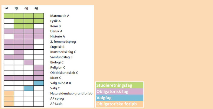 Studieretning_3_2025_Oversigt