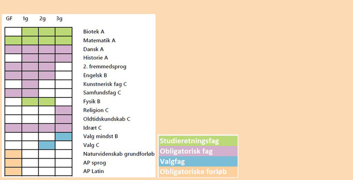 Studieretning_5_2025_Oversigt