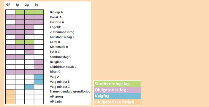 Studieretning_6_2025_Oversigt