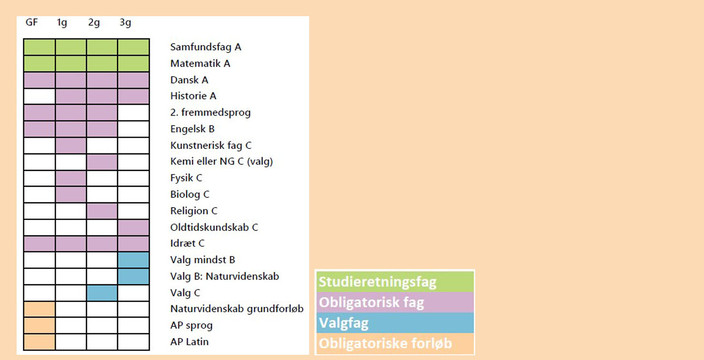 Studieretning_7_2025_Oversigt