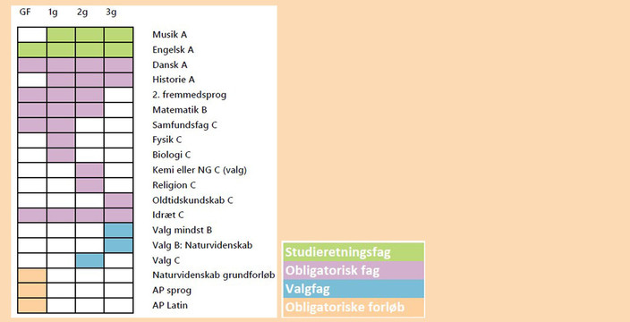 Studieretning_9_2025_Oversigt